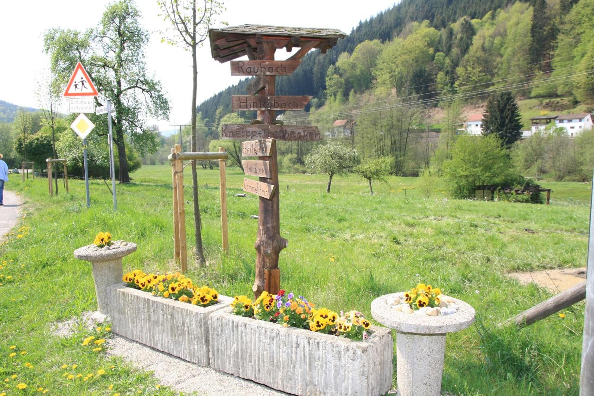 Gasthof Zur Traube Finkenbach Exterior photo